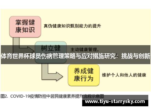 体育世界杯球员伤病管理策略与应对措施研究：挑战与创新