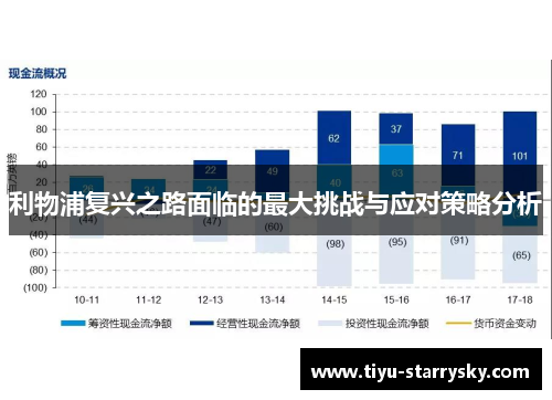 利物浦复兴之路面临的最大挑战与应对策略分析
