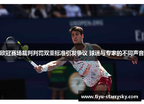 欧冠赛场裁判判罚双重标准引发争议 球迷与专家的不同声音