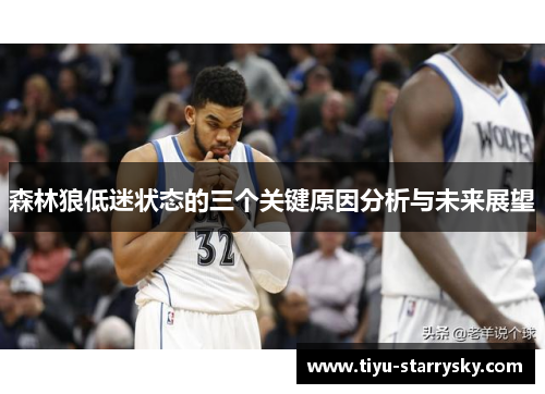 森林狼低迷状态的三个关键原因分析与未来展望