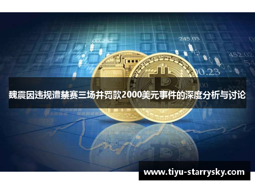 魏震因违规遭禁赛三场并罚款2000美元事件的深度分析与讨论